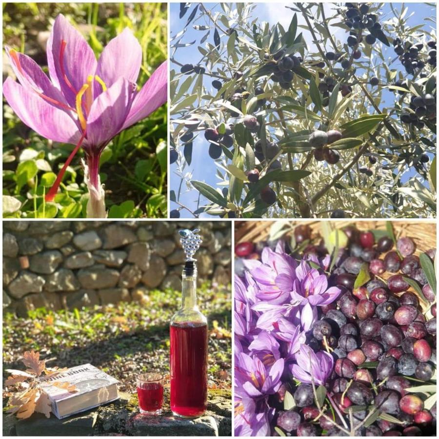 San Benedetto Ullano Agri Art 빌라 외부 사진